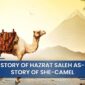 story of Hazrat Saleh AS