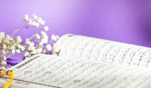 Online Quran Classes USA